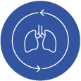 icone poumon bleu