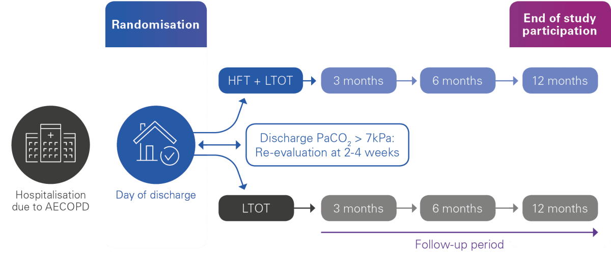 Design der Hifae-Studie für COPD-Patienten unter hft-Therapie